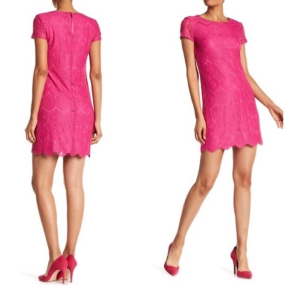 Laundry by Shelli Segal scalloped lace dress - Picture 4 of 7